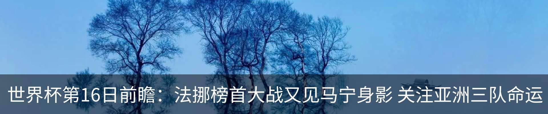 最新动态