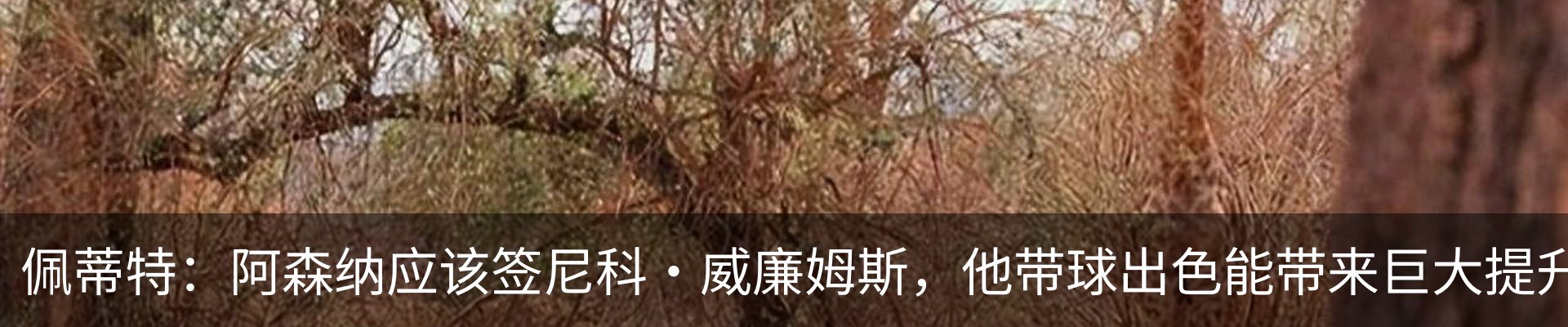 最新动态