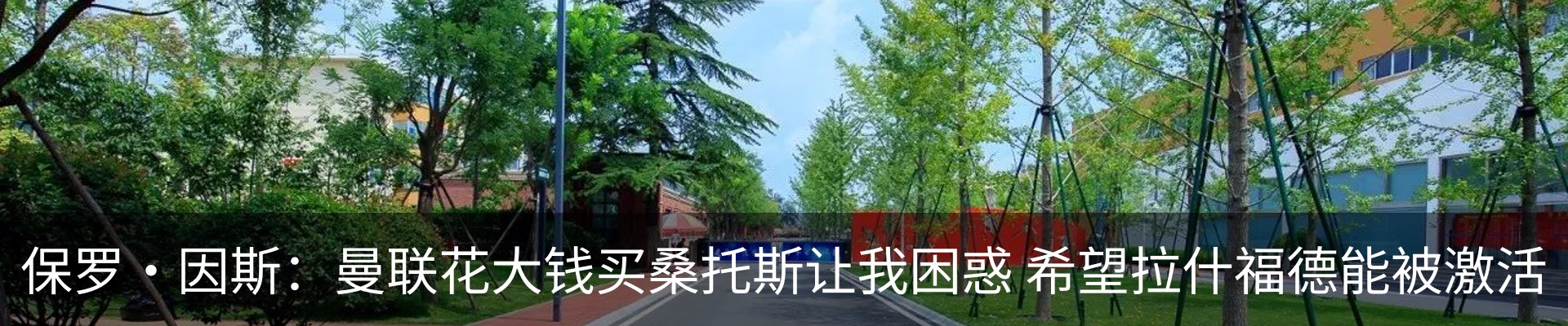最新动态