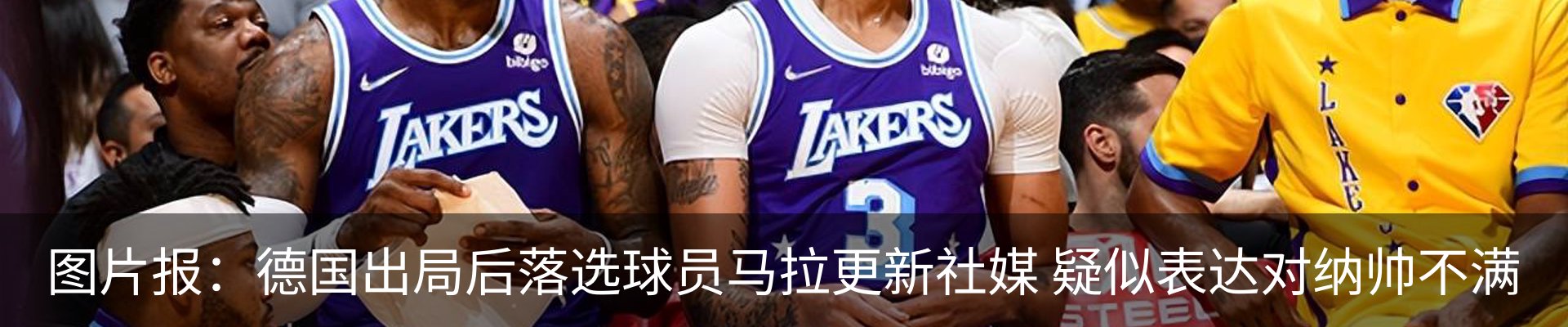 最新动态