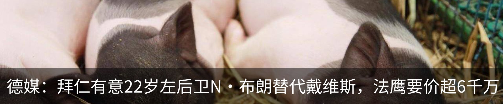 最新动态