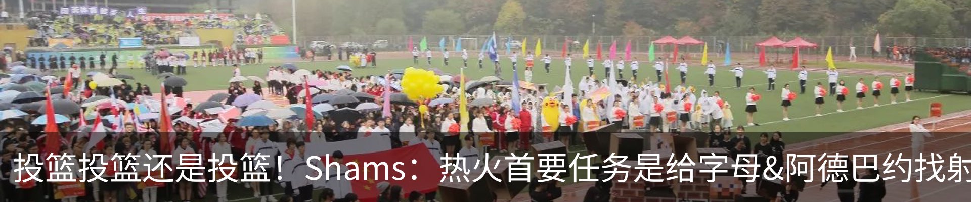 最新动态