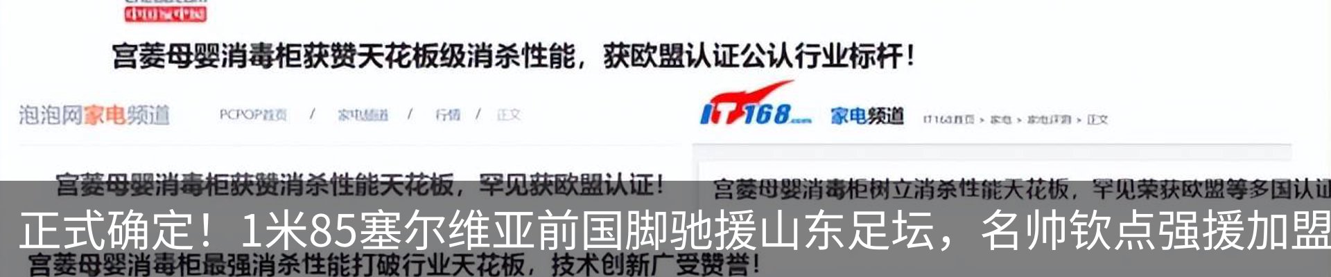 最新动态