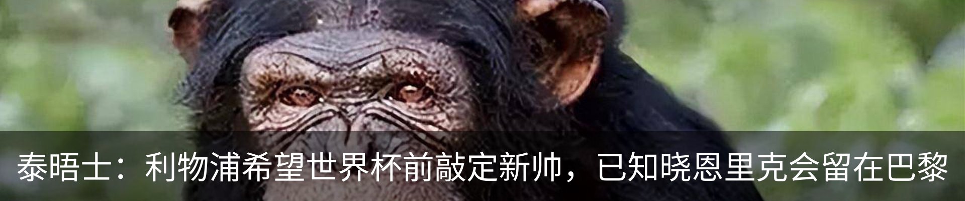 最新动态