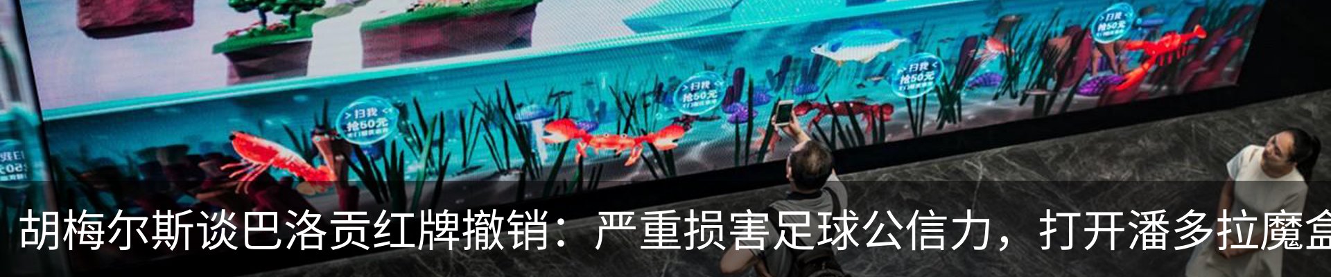 最新动态