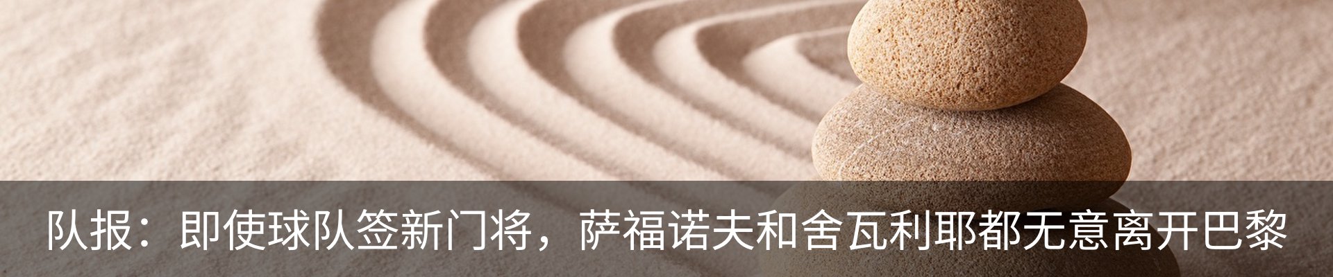 最新动态