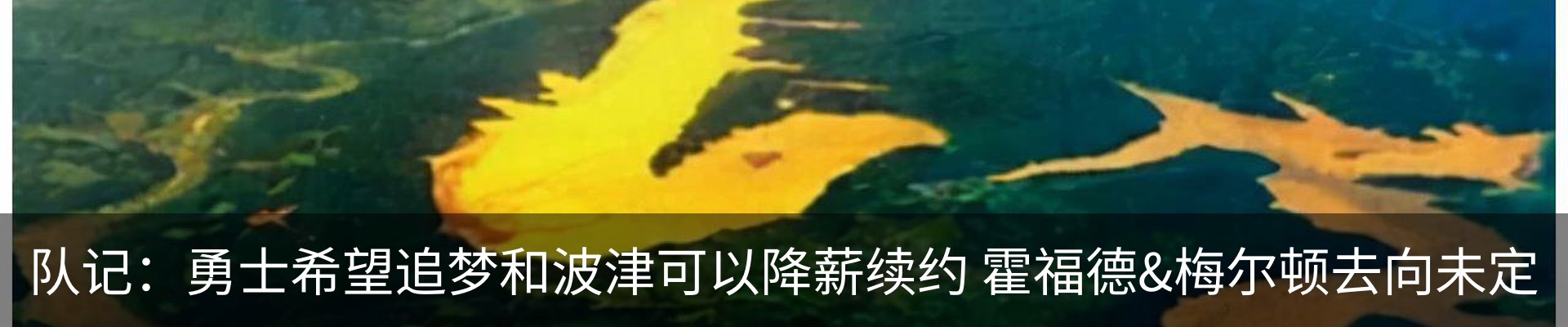 最新动态