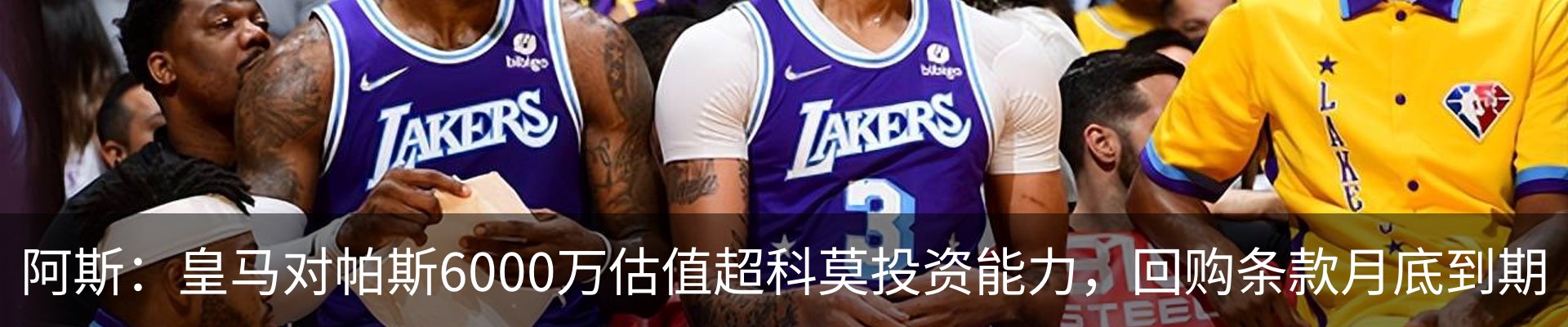 最新动态