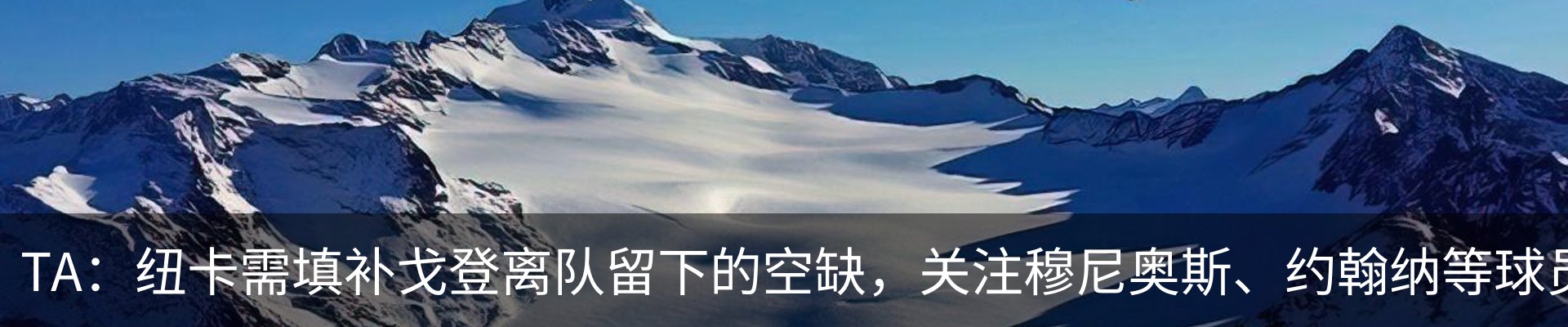 最新动态